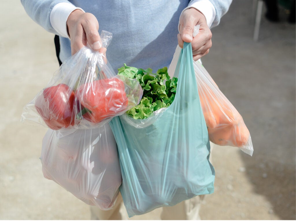A closeup of a person's hands holding several plastic grocery bags filled with green lettuce, red peppers and oranges.